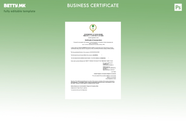 модерен стил Саудиска Арабија сертификат за регистрација на бизнис Шаблон Word и